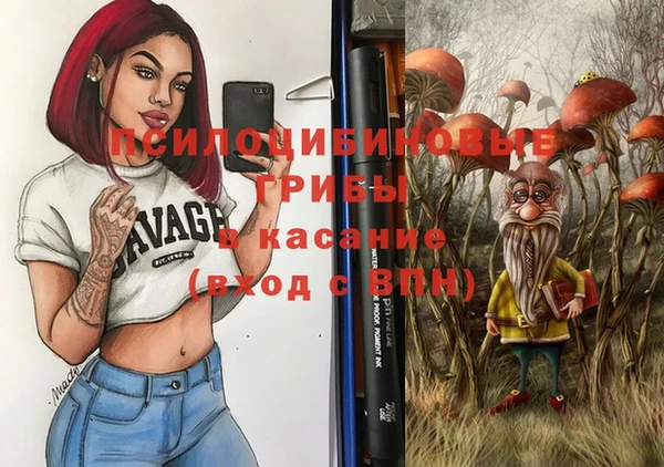 метадон Алексин