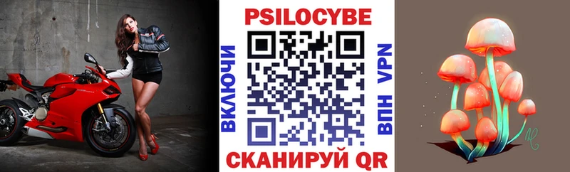 Псилоцибиновые грибы Cubensis  Лебедянь 